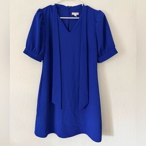 Riley & Rae Royal Blue V-Neck Dress
